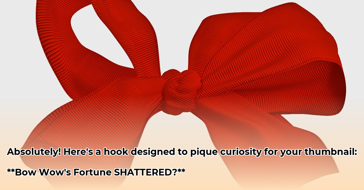 what-is-bow-wow-s-net-worth